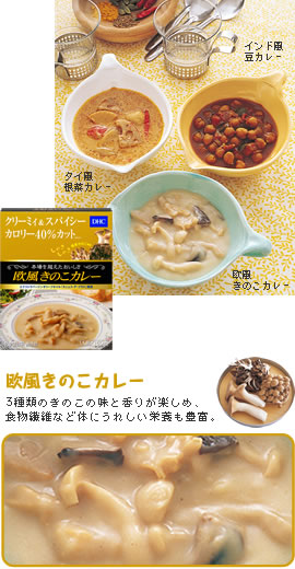 DHC欧風きのこカレー