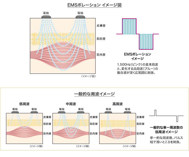 【お値下げ】ＤＨＣ パーフェクトウェーブ　本体