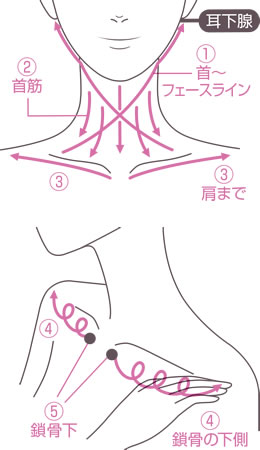 Dhcコンセントレート ネッククリーム通販 化粧品のdhc