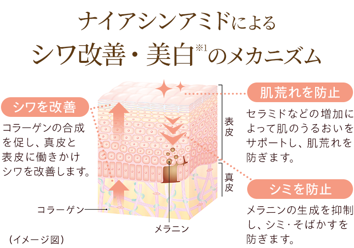 2本 シミ 美白クリーム シワ レチノール配合 - 3