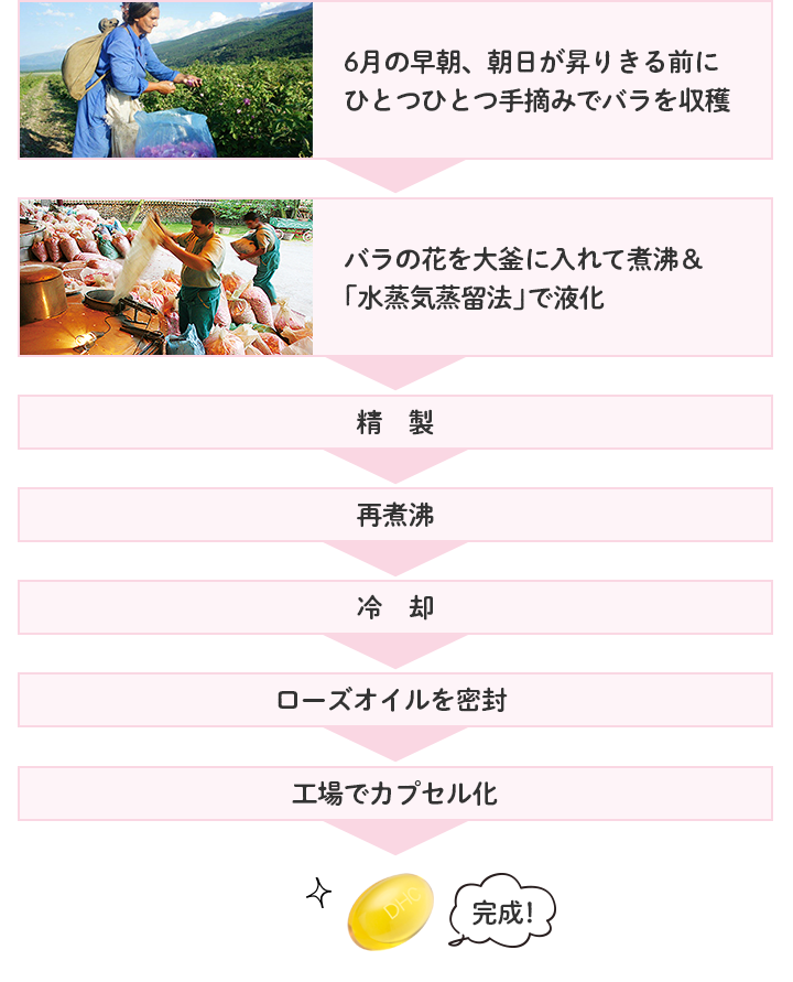 香るブルガリアンローズカプセル 30日分通販 |健康食品のDHC