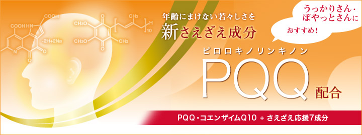 記憶力対策サプリ PQQ＋Q10 30日分通販 |健康食品のDHC