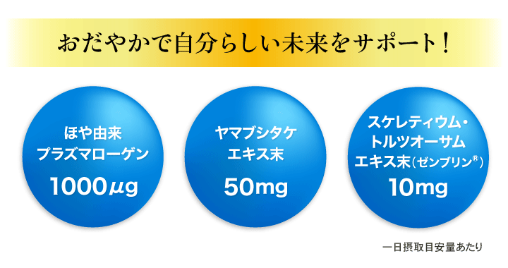 17-4袋 DHC プラズマローゲン 30日分