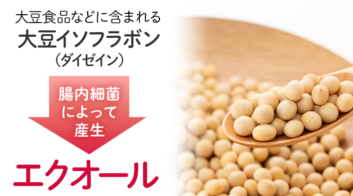 大豆イソフラボン エクオール 30日分通販 健康食品のDHC