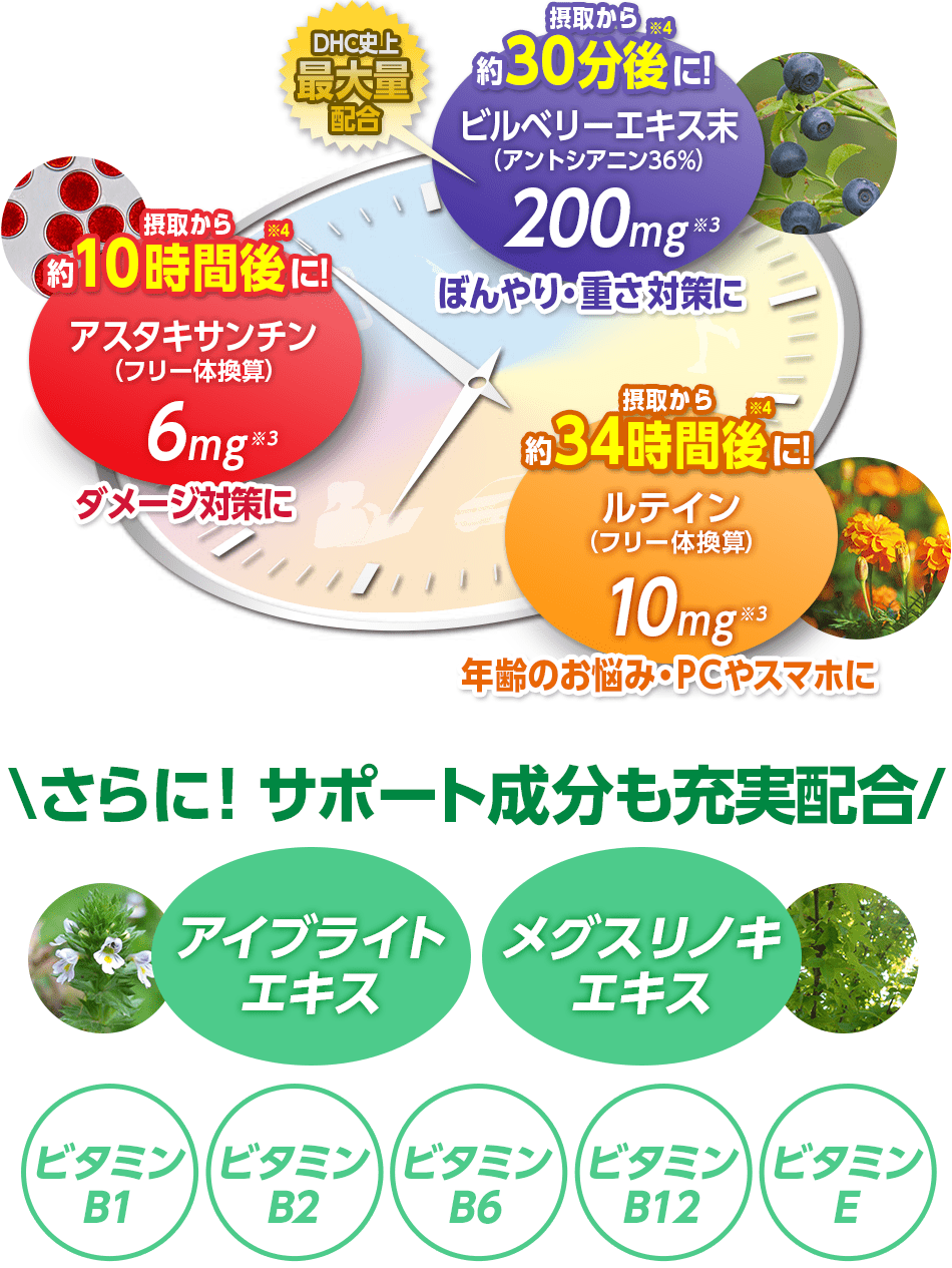 速攻ブルーベリー V Max 30日分通販 健康食品のdhc