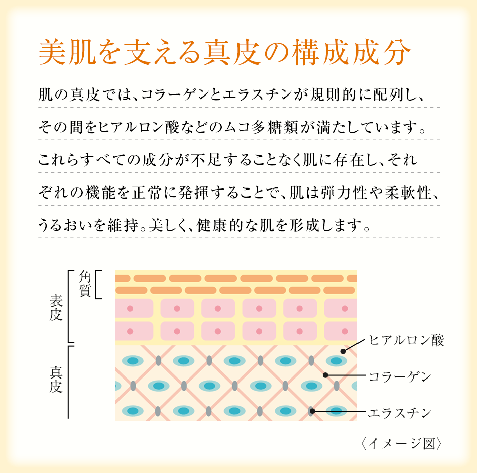 なめらか ハトムギplus 30日分通販 |健康食品のDHC