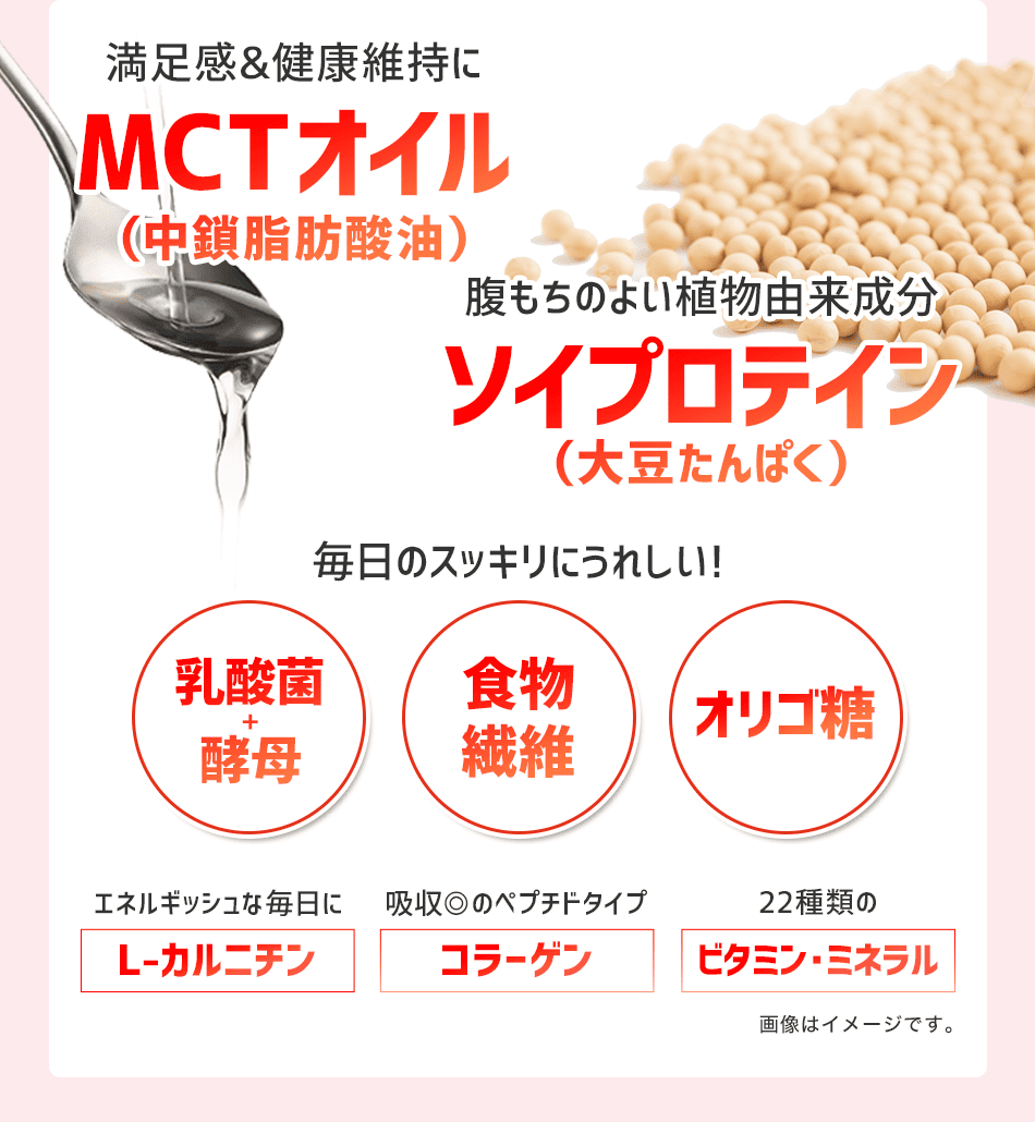 DHCプロティンダイエット MCTプラス ファンセレクション 15袋入通販 ...