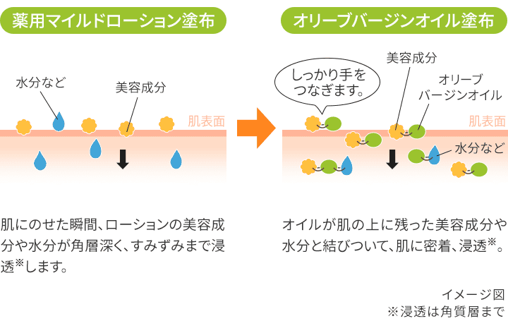 DHC薬用マイルドローション(L)通販 |化粧品のDHC