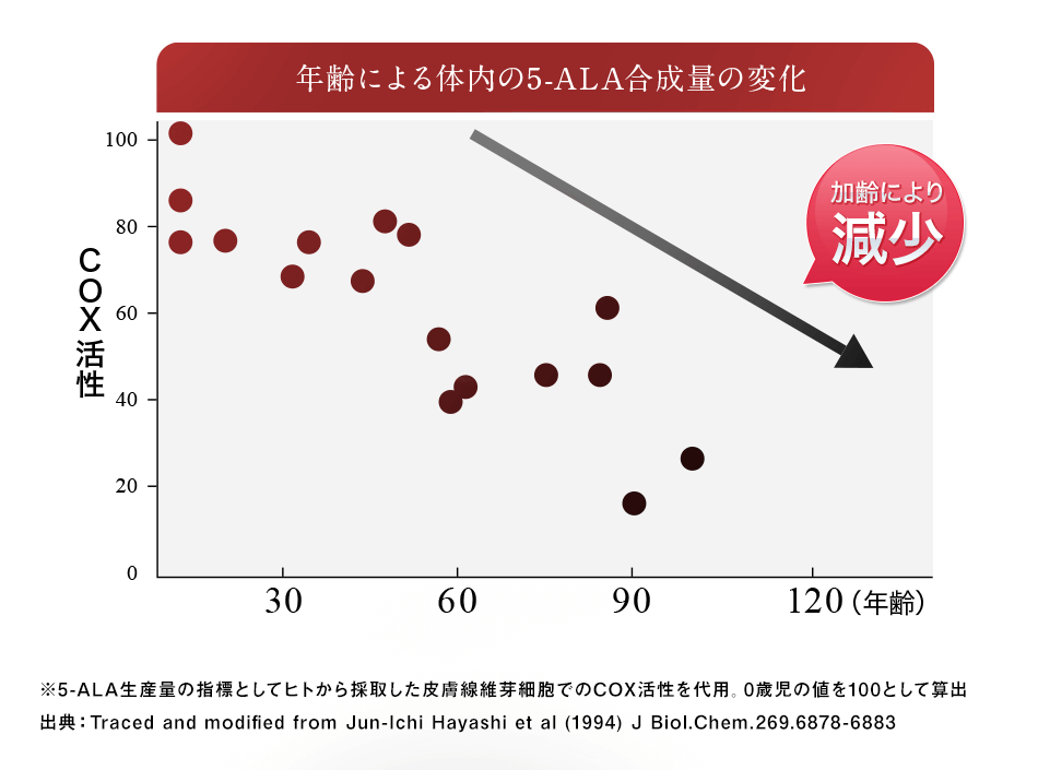 最大62%OFFクーポン 5ruru富士メディシィエ LEDテープライト 防水 水没可 耐高温 本体拡散タイプ ケーブル5m付 サ