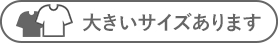 傫TCY܂