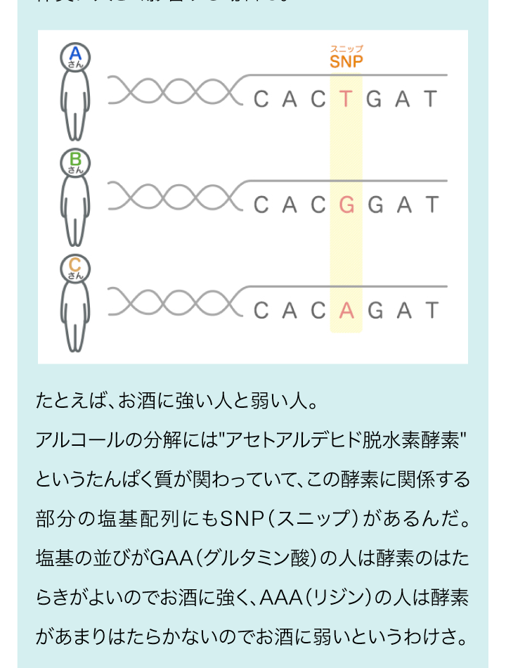 X}[gtHp̉摜Vs