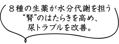 8̐򂪐ӂSgtĥ͂炫߁AAguPB