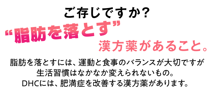 Vol 4 肥満に気をつけよう 医薬品 漢方のdhc