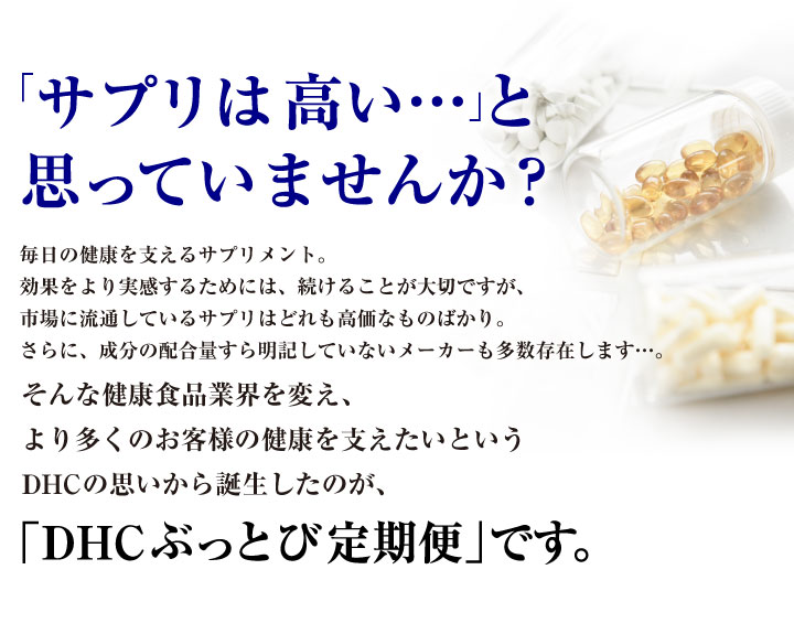 最大級の割引率 Dhcぶっとび定期便 化粧品 健康食品 ファッション インナーウェアのdhc