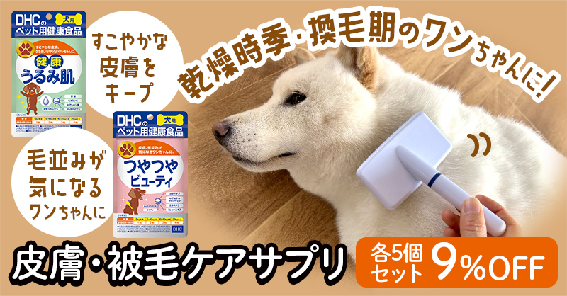 ъ̃ɁI畆EуPATv