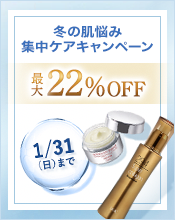 健康食品 おいしい食品 お酒 医薬品 8 000円以上ご購入でプレゼント 健康食品のdhc