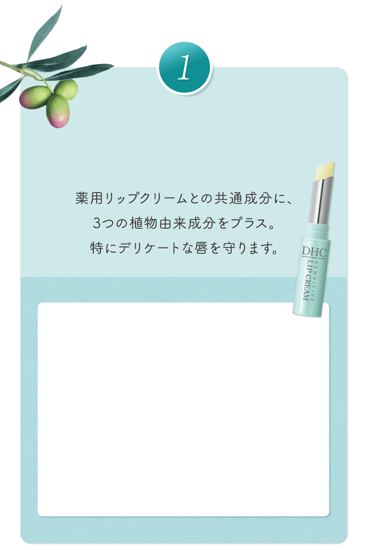 薬用リップクリーム センシティブ | 化粧品のDHC