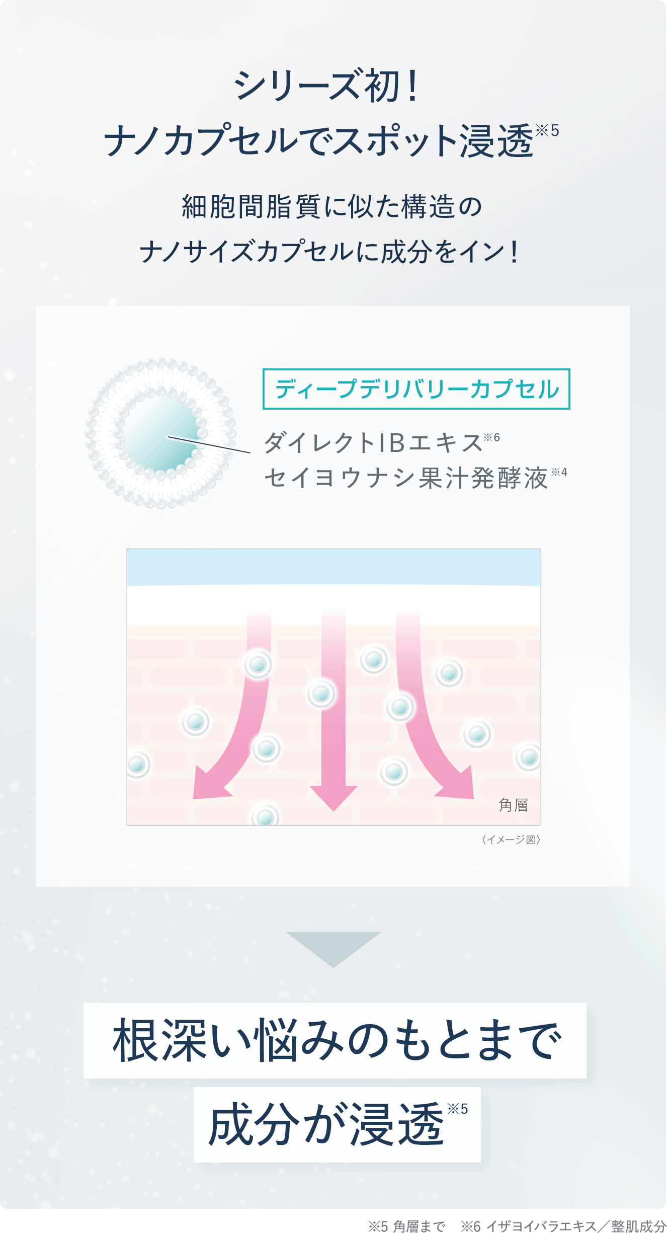 シリーズ初!名のカプセルでスポット浸透 根深い悩みの元まで成分が浸透