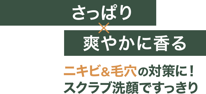 メンズスキンケア特集【洗顔料】 | 化粧品のDHC
