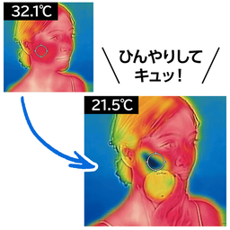 ひんやりコロコロローラー | 美容・健康グッズ通販のDHC