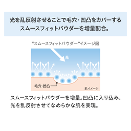 DHC薬用BBミネラルパウダー GE ＜リフィル＞ | フェースパウダー通販のDHC