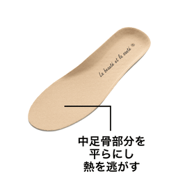 制菌消臭・カップインソール