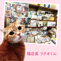 【空手ねこ♪】Life Essence1000ml 4本セット 神保町にゃんこ堂・しっぽのスニーカー | スニーカー通販のDHC