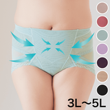 骨盤ショーツ（大きいサイズ）