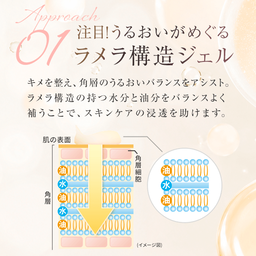 DHCマルチジェル モイスト&フェースアップ | キャンペーン通販のDHC