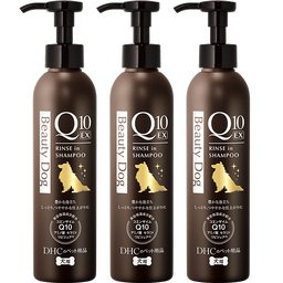 犬用 国産 ビューティドッグ リンスインシャンプーQ10 EX 3本セット