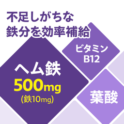 ヘム鉄 徳用90日分 | ミネラル通販のDHC