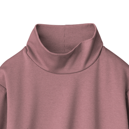 3℃・あったかハイネックカットソー | Tシャツ/カットソー通販のDHC