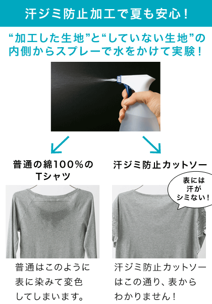 汗ジミ防止 カットソー通販 ファッションのdhc 汗ジミ防止 カットソー通販 ファッションのdhc