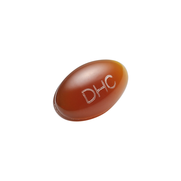 DHC レシチン　30日分　2袋