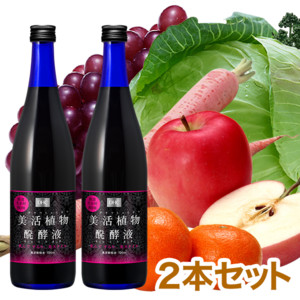 DHCAytiт傭Ԃ͂j 2{Zbg