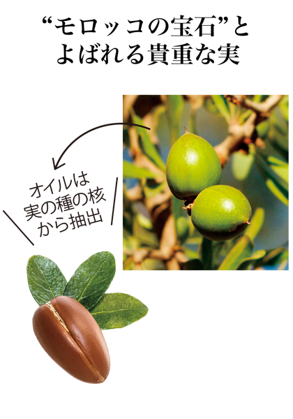 うるわし美肌 アルガンオイル配合インナー 8分袖通販 インナーウェアのdhc うるわし美肌 アルガンオイル配合インナー 8分袖通販 インナーウェアのdhc