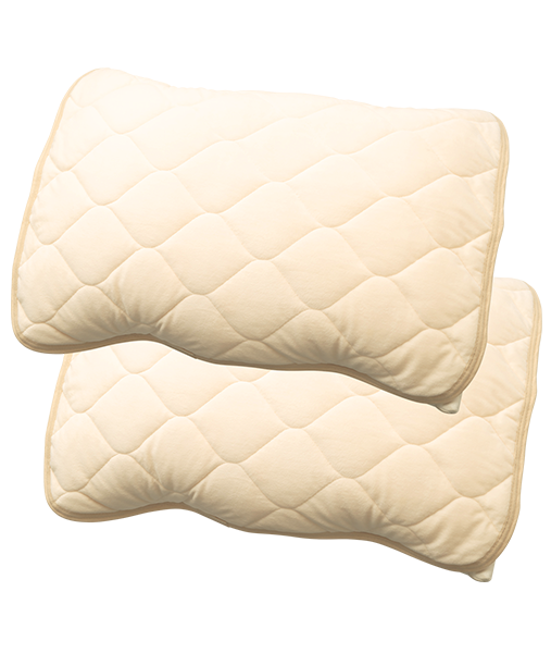  2枚組・なめらかベロア抗菌枕パッド