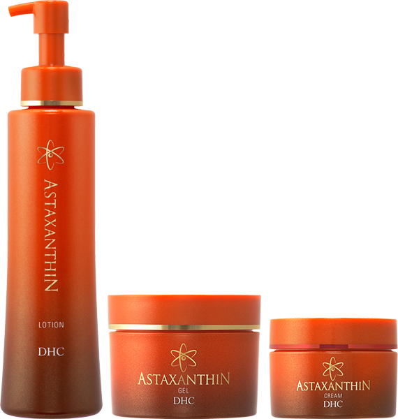 �yWEB����z�A�X�^�L�T���`���V���[�Y 3�_����