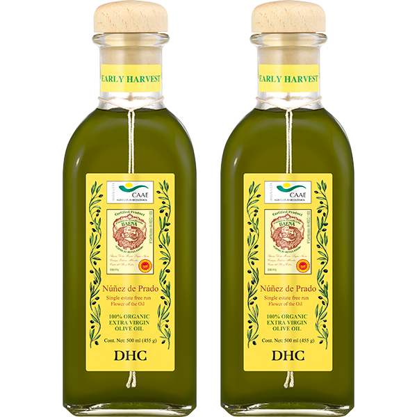 �k�j�F�X�E�f�E�v���h �A�[���[�n�[�x�X�g 2025