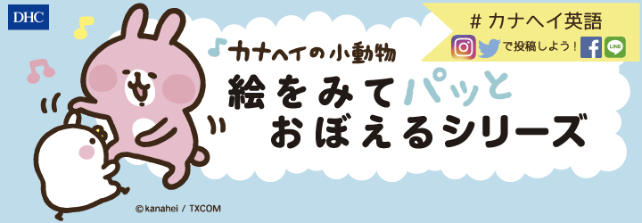 カナヘイの小動物 絵をみてパッとつたわるトラベル英会話通販 書籍のdhc