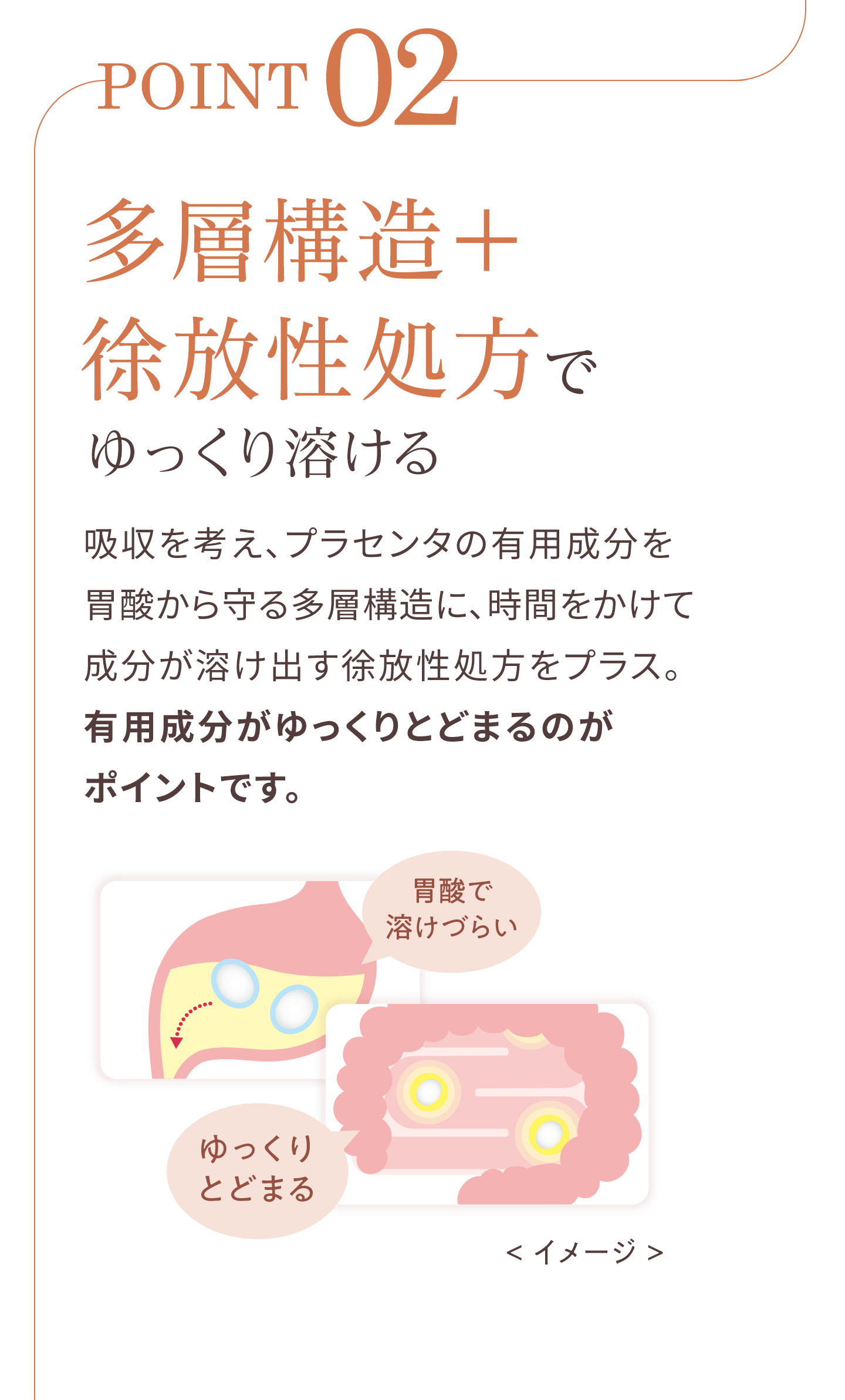 多層構造＋徐放性処方でゆっくり溶ける