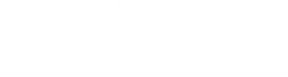 ダメージ連鎖分子に対抗する成分の新たなはたらきを解明