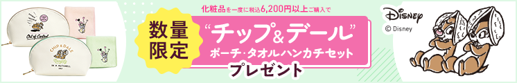 ディズニー総額プレゼント