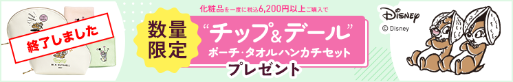 ディズニー総額プレゼント
