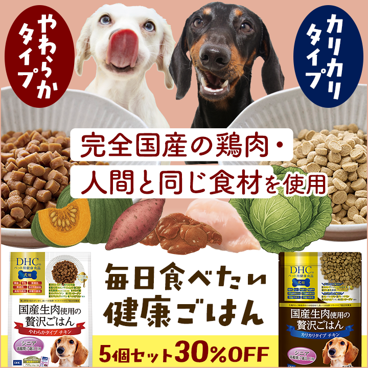 フード5個セット　30％OFF