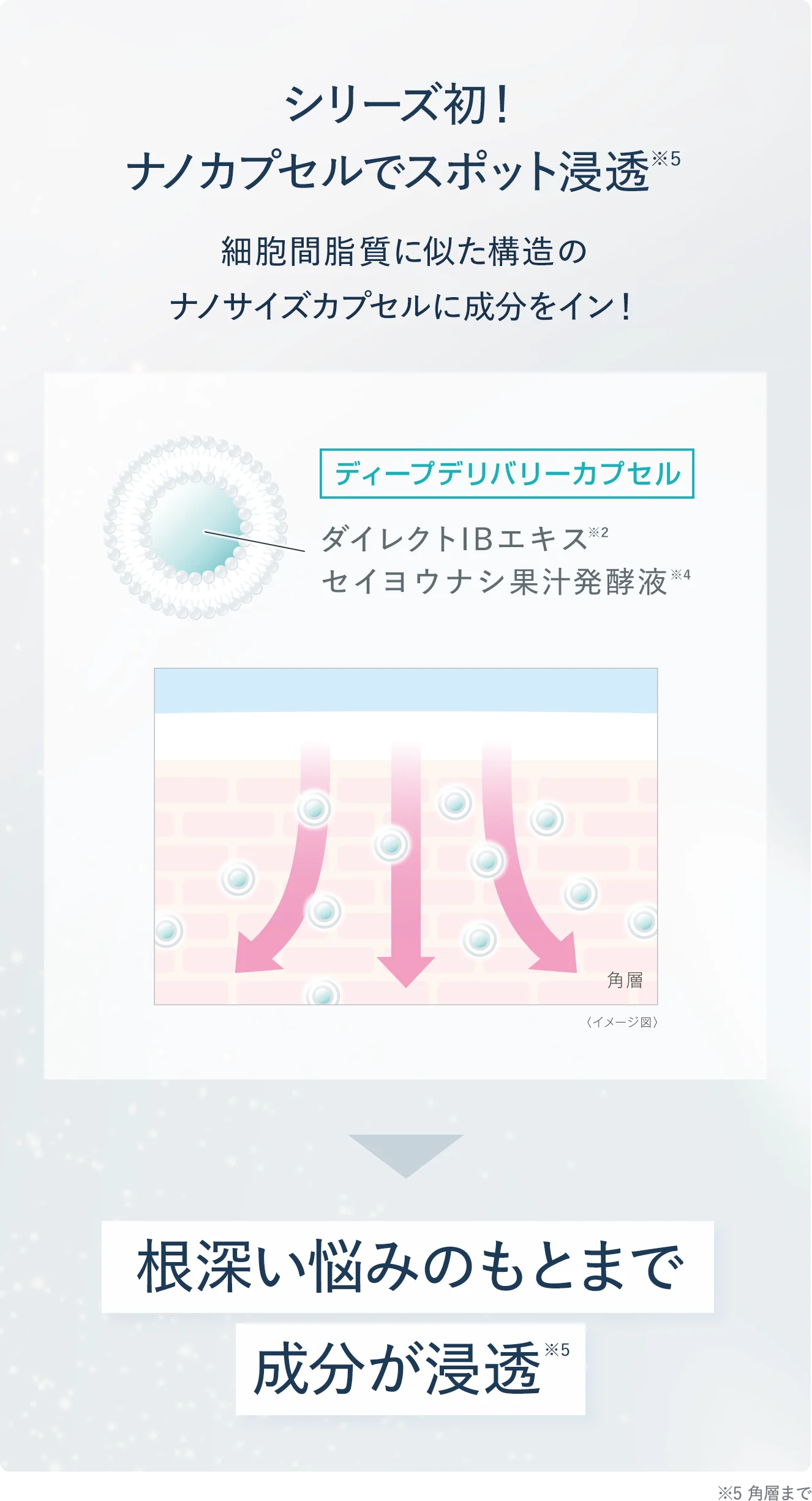 シリーズ初！名のカプセルでスポット浸透 根深い悩みの元まで成分が浸透