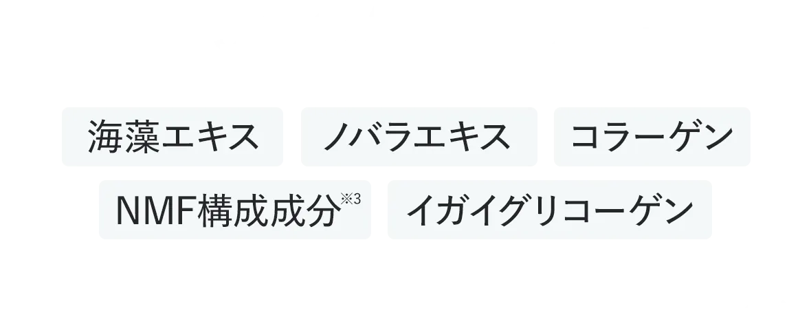 ５つの保湿成分 海藻エキス、ノイバラエキス、コラーゲン、NMF構成成分、ガイグリコーゲン