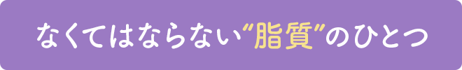 なくてはならない脂質のひとつ