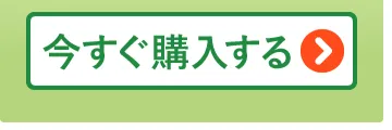 今すぐ購入する＞