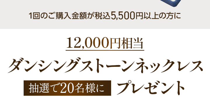 1回のご購入金額が税込5, 500円以上の方に12,000円相当ダンシングストーンネックレス抽選で20名様にプレゼント！